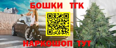 тгк Камышлов