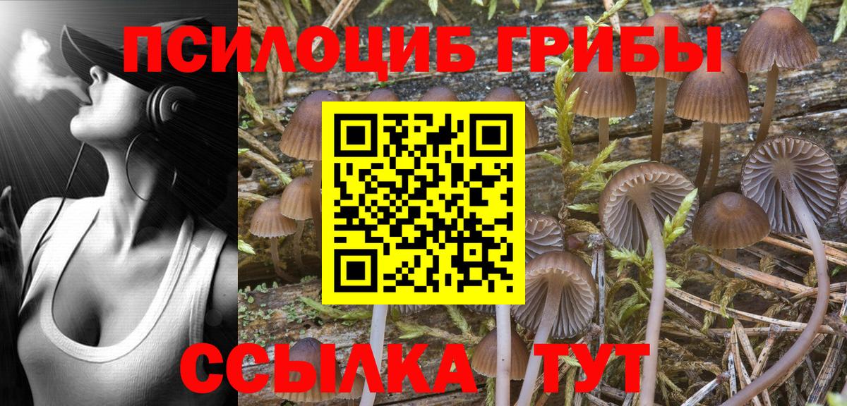 Крымск  Галлюциногенные грибы ЛСД  Галлюциногенные грибы ЛСД  Вход с VPN 